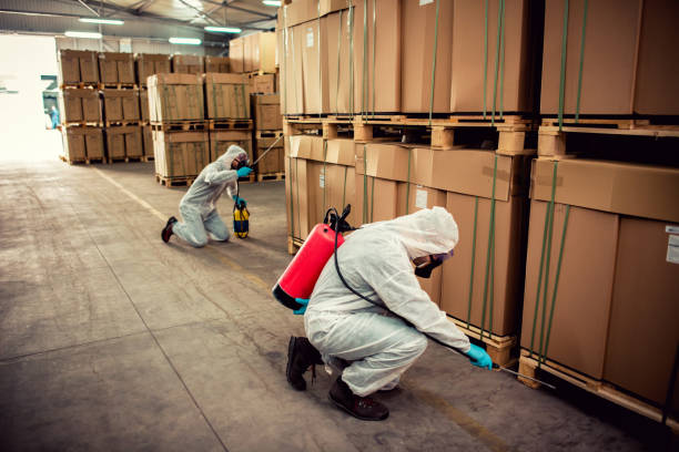 Best Best Pest Control Companies  in Chalmette, LA