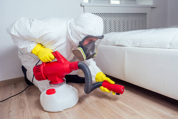 Wildlife Control Services in Chalmette, LA