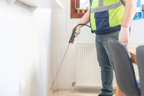 Best Emergency Pest Control  in Chalmette, LA