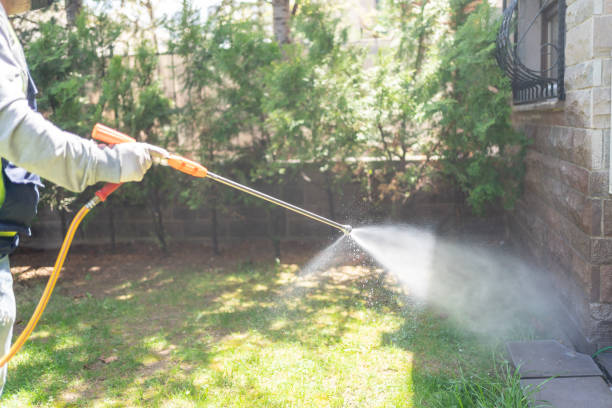 Best Local Pest Control Services  in Chalmette, LA