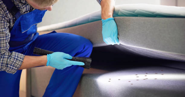 Best Bed Bug Extermination  in Chalmette, LA
