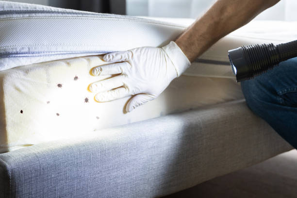 Best Wildlife Control Services  in Chalmette, LA
