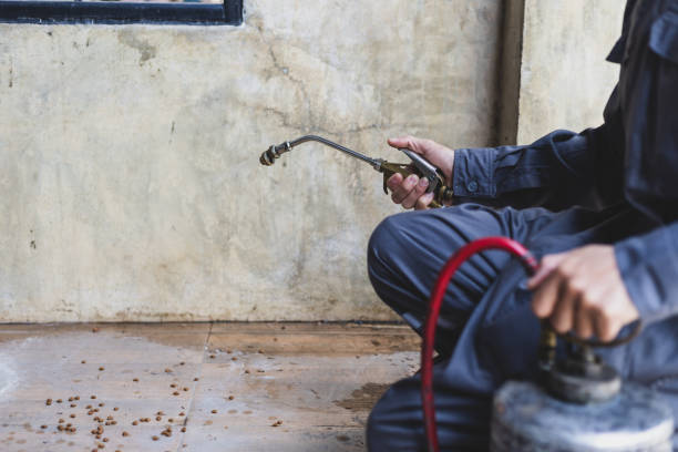Best Pest Inspection Near Me  in Chalmette, LA